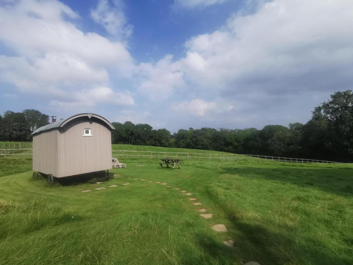Molly Dishwasher Shepherds Hut Frant 外观 照片